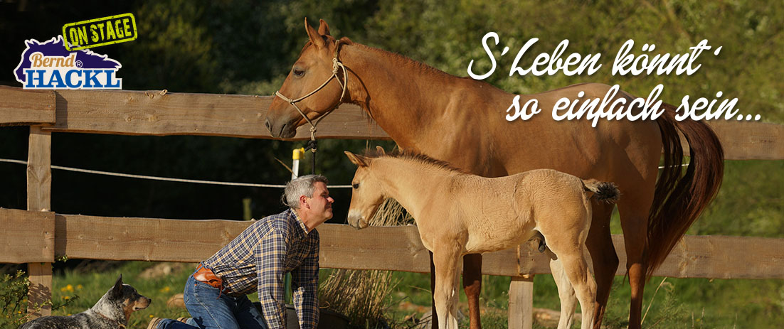 Bernd Hackl ON STAGE: "Ohne Brems' und Lenkung" im Stadttheater Euskirchen (Mo., 09.11.2026)
